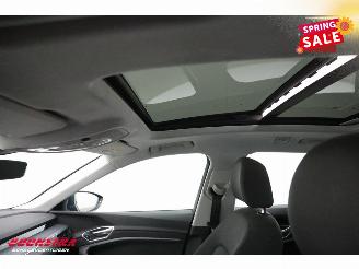 Audi E-tron 55 quattro advanced 95 kWh LED Virtual Cruise PDC picture 20