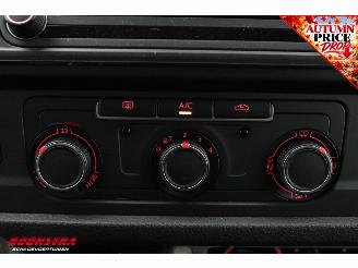 Volkswagen Transporter Bestattungswagen 2.0 TDI DSG 4M LED Cruise Camera AHK picture 29