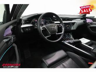 Audi E-tron 55 quattro Advanced 95 kWh MirrorCam LED ACC Leder Camera SHZ picture 18