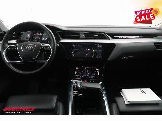 Audi E-tron 55 quattro Advanced 95 kWh MirrorCam LED ACC Leder Camera SHZ picture 14