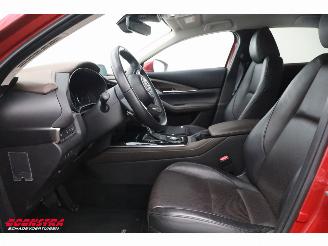 Mazda CX-30 2.0 e-SkyActiv-X M Hybrid Luxury LED ACC Bose Memory LRHZ AHK picture 10