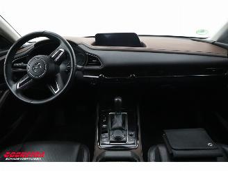 Mazda CX-30 2.0 e-SkyActiv-X M Hybrid Luxury LED ACC Bose Memory LRHZ AHK picture 8
