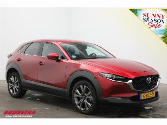 Mazda CX-30 2.0 e-SkyActiv-X M Hybrid Luxury LED ACC Bose Memory LRHZ AHK picture 2