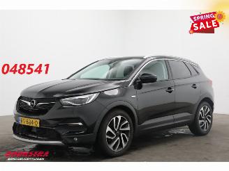 Schadeauto Opel Grandland 1.2 Turbo Aut. Business Executive LED Apple/Android 360° Cruise AHK 2018/2