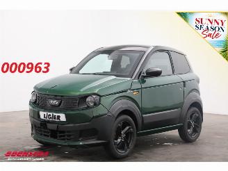 škoda mikrokarů Ligier  Myli I.DEAL Elektrisch 8 kWh Moped Leder Bluetooth 356 km! 2026/1