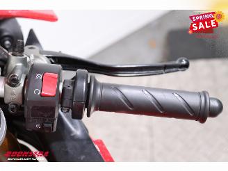 Ducati 1098 S 1098 S Termignoni picture 23
