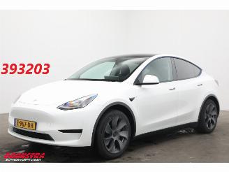 damaged passenger cars Tesla Model Y RWD 58 kWh Pano LED ACC Camera LRHZ SHZ AHK 2024/3