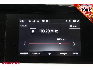 Opel Grandland 1.2 Turbo Edition Apple/Android Virtual Cruise LRHZ SHZ AHK picture 19