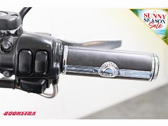 Harley-Davidson  FXDF Dyna Fat Bob picture 20