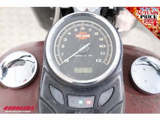 Harley-Davidson  FLS Softail Slim picture 12
