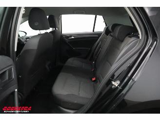 Volkswagen e-Golf ACC Navi Apple Android PDC picture 12