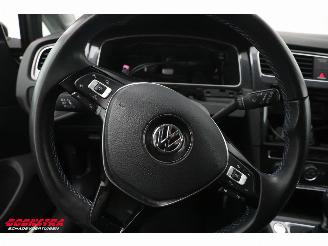 Volkswagen e-Golf ACC Navi Apple Android PDC picture 14