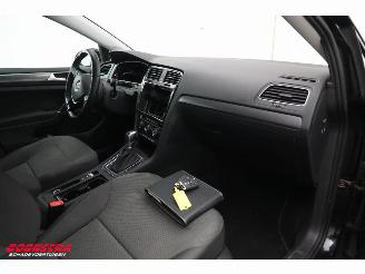 Volkswagen e-Golf ACC Navi Apple Android PDC picture 8