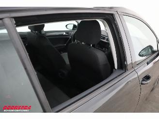 Volkswagen e-Golf ACC Navi Apple Android PDC picture 5