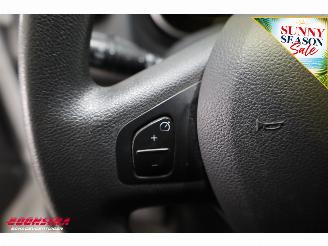 Renault Trafic 2.0 dCi 120 L2-H1 LED Navi Airco Cruise PDC 141.056 km! picture 16