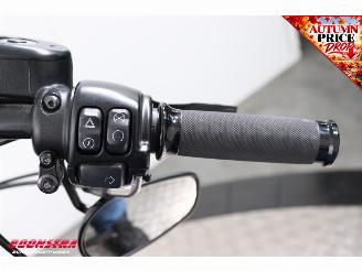 Harley-Davidson Sportster Iron 1200 ABS LED Kesstech 7.642 km! picture 16