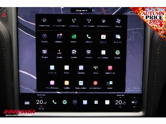 Tesla Model S 100D Pano Schuif/kantel Clima Navi Memory Leder SHZ LrHZ Cruise Camera PDC picture 17