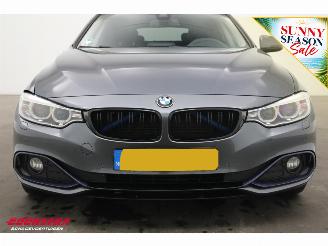 BMW 4-serie Gran Coupé 420d Aut. Sport-Line BiXenon Leder Navi Clima Cruise Camera PDC picture 9