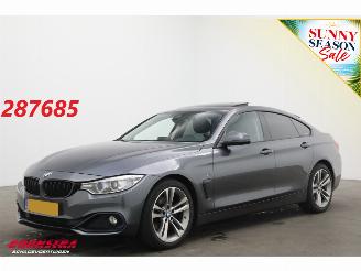Damaged car BMW 4-serie Gran Coupé 420d Aut. Sport-Line BiXenon Leder Navi Clima Cruise Camera PDC 2015/10