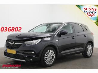 Unfallwagen Opel Grandland 1.2 Turbo Aut. Innovation LED Apple/Android Cruise Camera LRHZ SHZ 2019/1