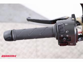 Ducati  Monster S4R Termignoni picture 14