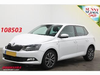 Schadeauto Skoda Fabia 1.0 TSI Drive Navi Clima Cruise PDC 80.188 km! 2018/12