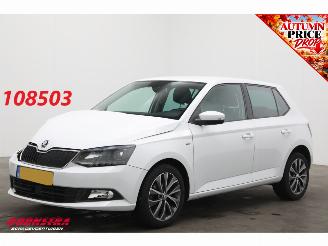 Coche accidentado Skoda Fabia 1.0 TSI Drive Navi Clima Cruise PDC 80.188 km! 2018/12