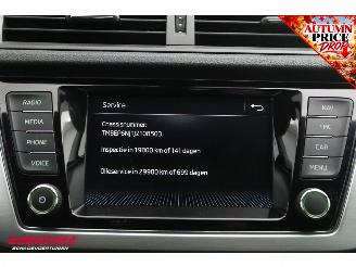 Skoda Fabia 1.0 TSI Drive Navi Clima Cruise PDC 80.188 km! picture 25