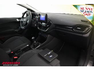 Ford Fiesta 1.0 EcoBoost Titanium Apple/Android ACC Navi Clima Camera PDC picture 13