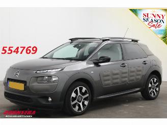 Schadeauto Citroën C4 cactus 1.2 PureTech Cruise Navi Clima Mulicity Connect Camera PDC 2018/3