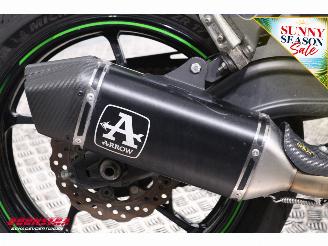 Kawasaki Ninja 650 ABS Arrow picture 16