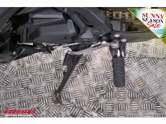 Kawasaki Ninja 650 ABS Arrow picture 12