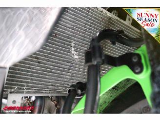 Kawasaki  Ninja ZX-4RR ABS Akrapovic 2.984 km! picture 24