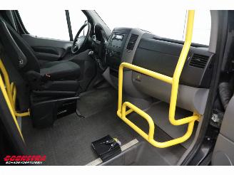 Volkswagen Crafter 2.0 TDI Tribus L2H2 8/9-Pers. Behindertengerecht Cruise Airco picture 13