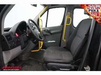 Volkswagen Crafter 2.0 TDI Tribus L3-H2 9-Pers. Behindertengerecht Cruise Airco picture 17