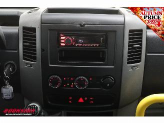 Volkswagen Crafter 2.0 TDI Tribus L3-H2 9-Pers. Behindertengerecht Cruise Airco picture 16