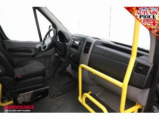 Volkswagen Crafter 2.0 TDI Tribus L3-H2 9-Pers. Behindertengerecht Cruise Airco picture 13