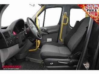 Volkswagen Crafter 2.0 TDI L3-H2 Tribus 9-Pers. Behindertengerecht Rollstuhl Cruise Airco picture 19