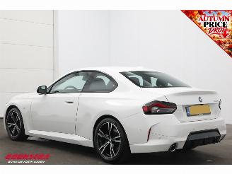 BMW 2-serie Coupé 220i M Sport Cruise Navi SHZ Virtual Apple/Android Camera PDC picture 4