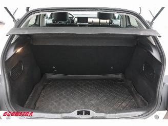 Citroën C4 cactus 1.2 PureTech Aut. Business Navi Clima Bluetooth Camera PDC picture 19