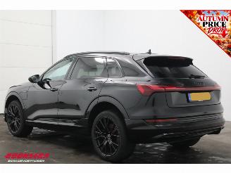 Audi E-tron quattro S Edition 95 kWh Memory 360° HUD B&O ACC Virtual picture 4