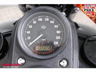 Harley-Davidson  FXDLS FXDLS Dyna Low Rider 110 Screaming Eagle ABS LED Cruise picture 13