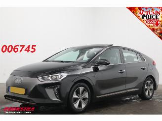 škoda osobní automobily Hyundai Ioniq Premium EV Camera Infinity Pano Memory Audio Clima LED Navi 2017/3