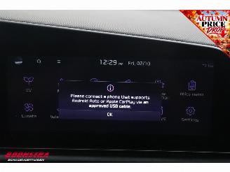 Kia Niro Light Edition 64.8 kWh ACC AHK Camera LED Clima Navi picture 33