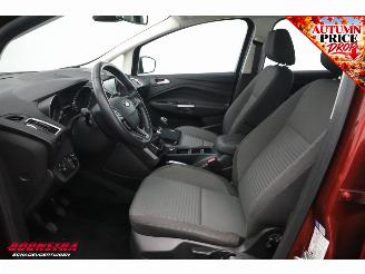 Ford C-Max 1.0 Titanium Cruise Navi PDC AHK Clima picture 8