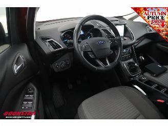 Ford C-Max 1.0 Titanium Cruise Navi PDC AHK Clima picture 10