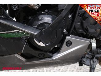 Kawasaki  Ninja 1000SX ABS LED Akrapovic Cruise Heizgriffe 16.667 km! picture 14