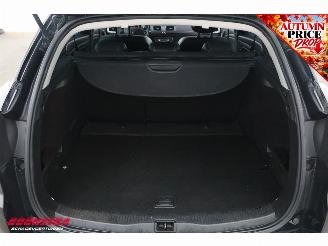 Renault Mégane Estate 1.5 dCi GT-Line Cruise Navi PDC Bluetooth Clima picture 20