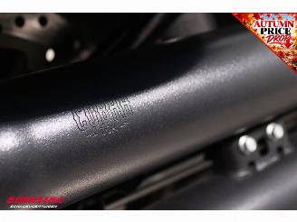 Harley-Davidson  117 FXLRST Low Rider ST Fast Johnnie ABS LED Cobra Cruise picture 10