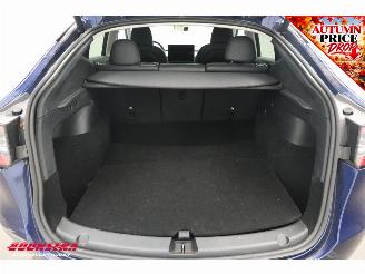Tesla Model Y RWD 58 kWh Pano ACC Navi Leder Memory Camera AHK picture 29